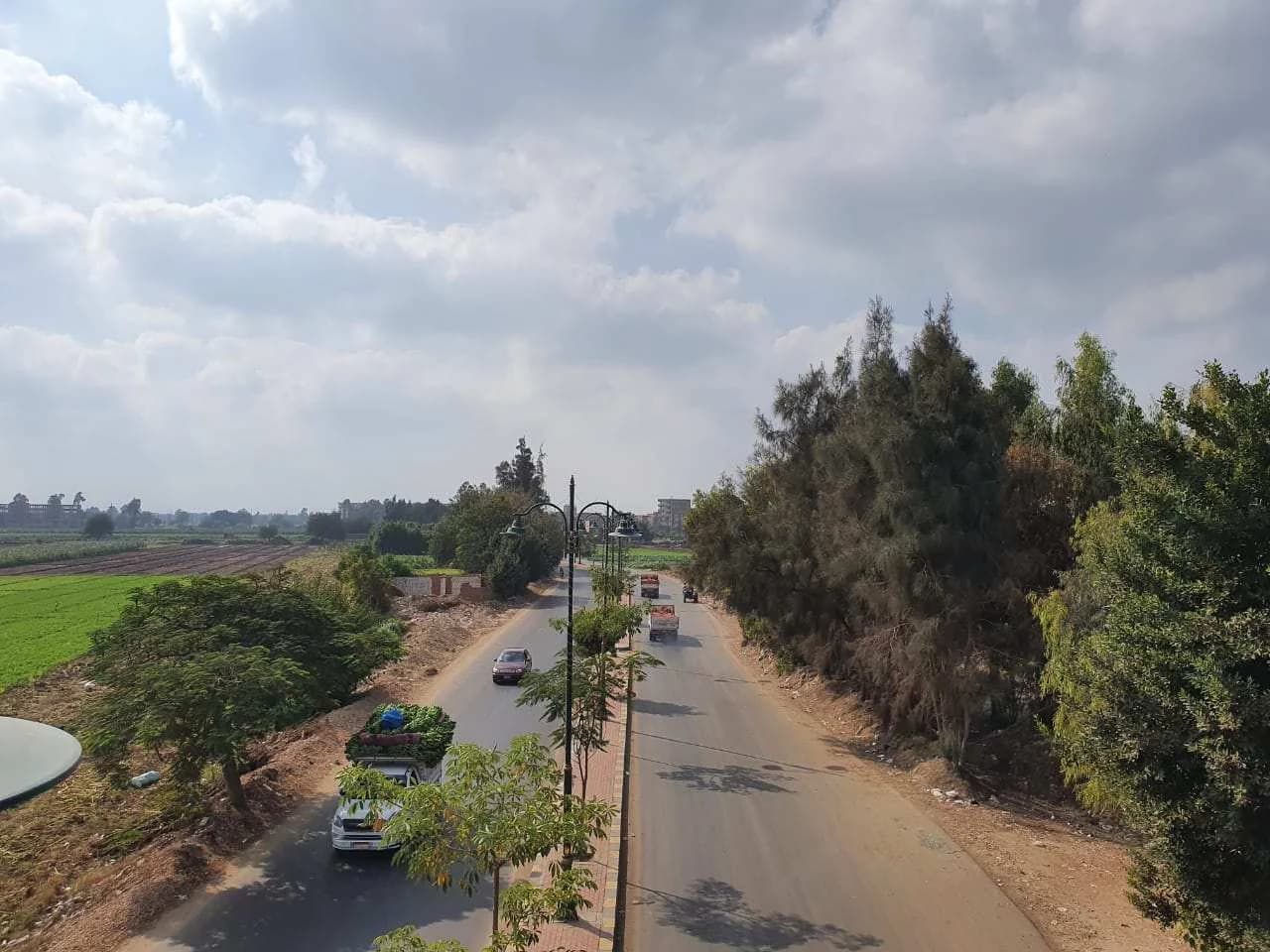 شارع أبو عجوة بشبين الكوم